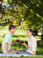 Young couple  picnicking in the park