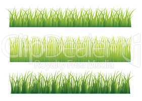 Green grass variation