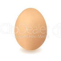 chickend egg
