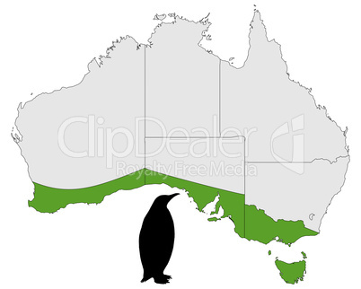 Zwergpinguin Verbreitungskarte