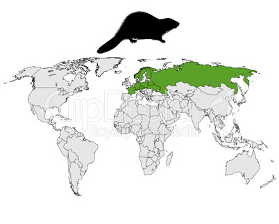 Vorkommen europäischer Biber
