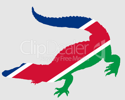 Krokodil Namibia