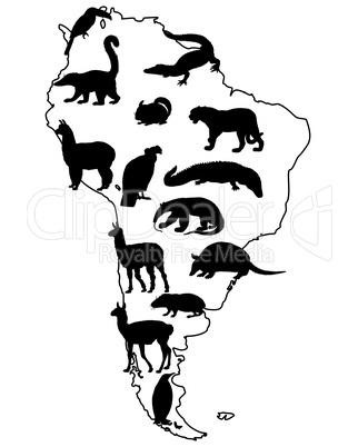 Tiere Südamerika
