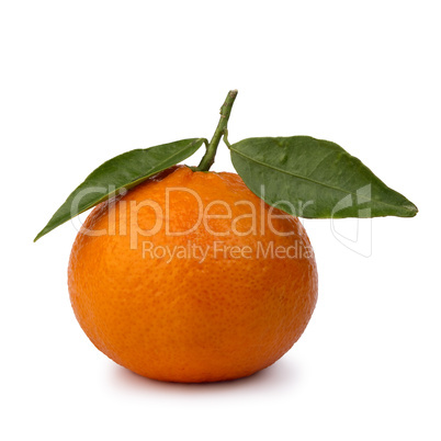 ripe tangerines