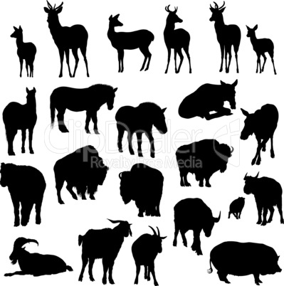 Set of deer, horses, goats, yaks, buffalos and pig   silhouettes.