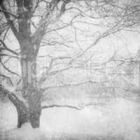 grunge image of winter landscape