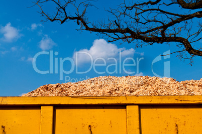 Biomass in container