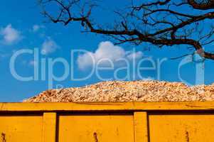 Biomass in container