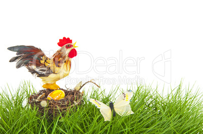 Rooster sitting on a nest in the grass