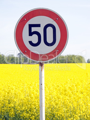 Geschwindikeitsbegrenzung,Rapsfeld im Hintergrund