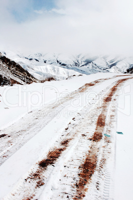 Road in winter