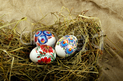 The painted eggs