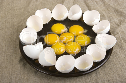 eggs