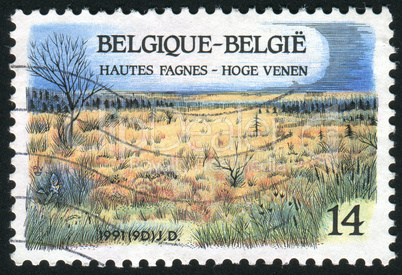 postage stamp