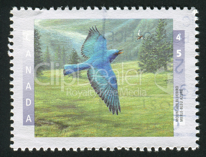 postage stamp