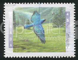 postage stamp