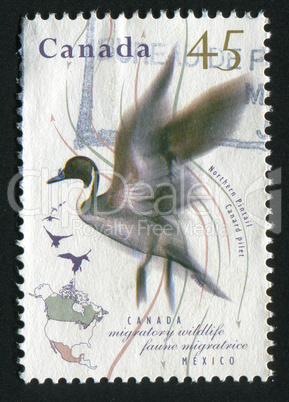 postage stamp