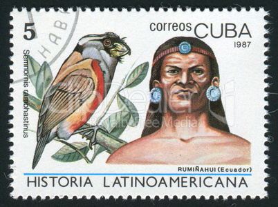 postage stamp