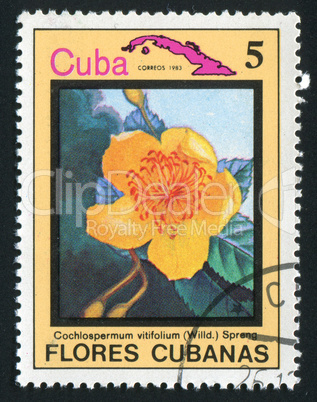 postage stamp