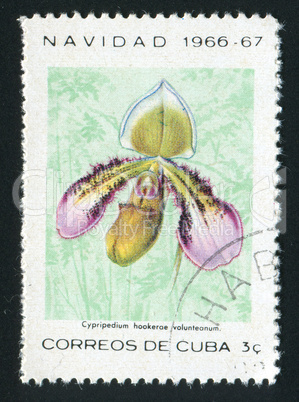 postage stamp