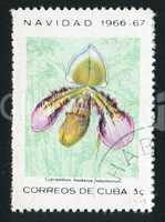 postage stamp