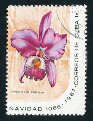 postage stamp