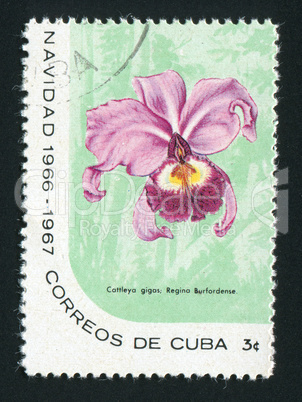 postage stamp