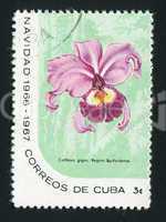 postage stamp