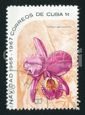 postage stamp