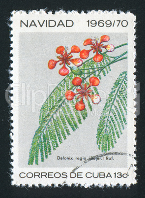 postage stamp