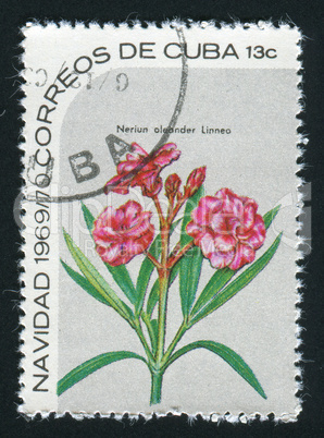 postage stamp