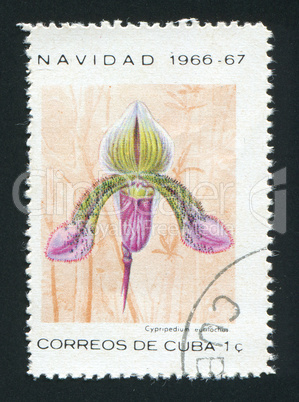 postage stamp