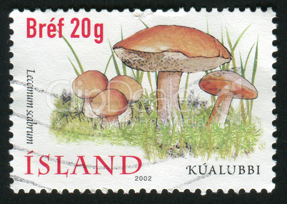 postage stamp