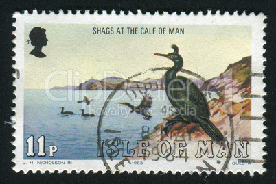 postage stamp