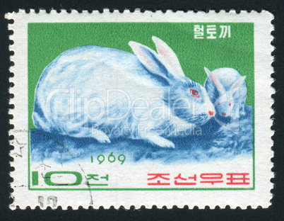 postage stamp