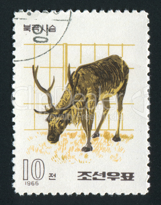 postage stamp