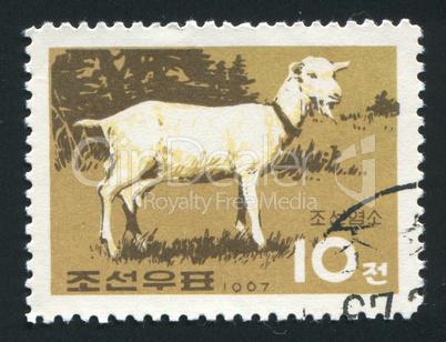 postage stamp