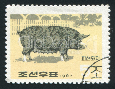 postage stamp