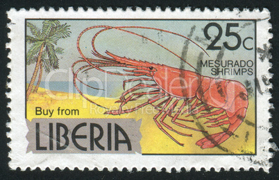 postage stamp