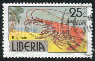 postage stamp