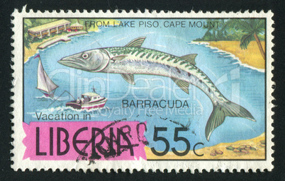 postage stamp