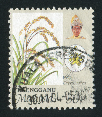 postage stamp