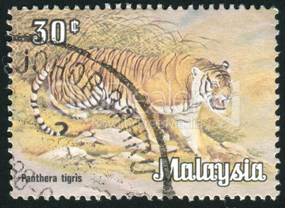 postage stamp