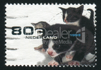 postage stamp