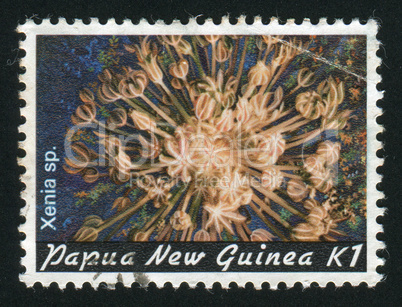 postage stamp