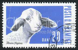 postage stamp