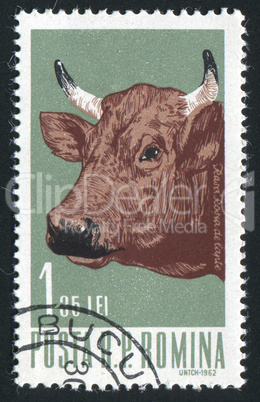 postage stamp