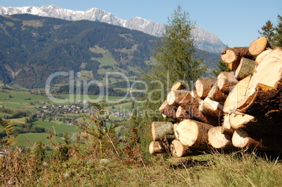 Holzstapel vor Gebirgskulisse