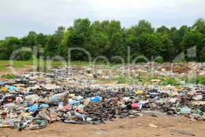 garbage in landfill near forest