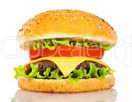 Tasty and appetizing hamburger on a white